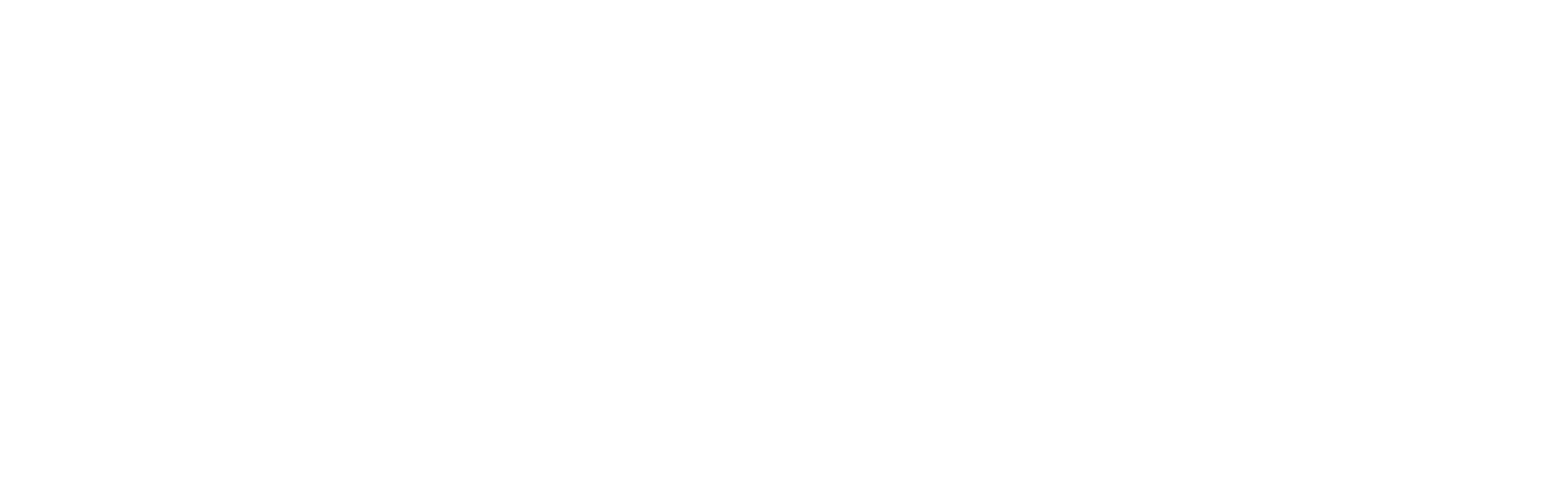 Privilege Sicherheitsdienste